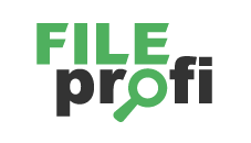 FileProfi - профессиональное восстановление данных в Иванове